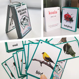 English Flashcards for Kids - Fruits, Vegetables, Animals & More